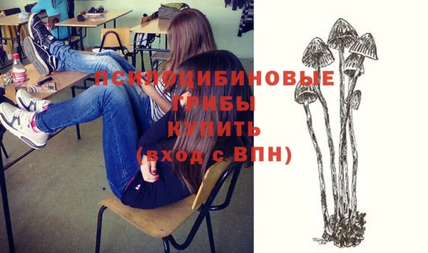 гашик Богородицк
