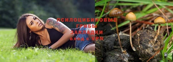 гашик Богородицк