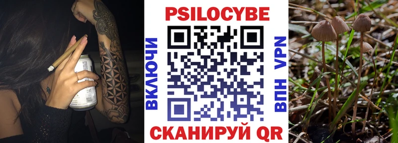 Галлюциногенные грибы Cubensis  Купить закладки  Горно-Алтайск 